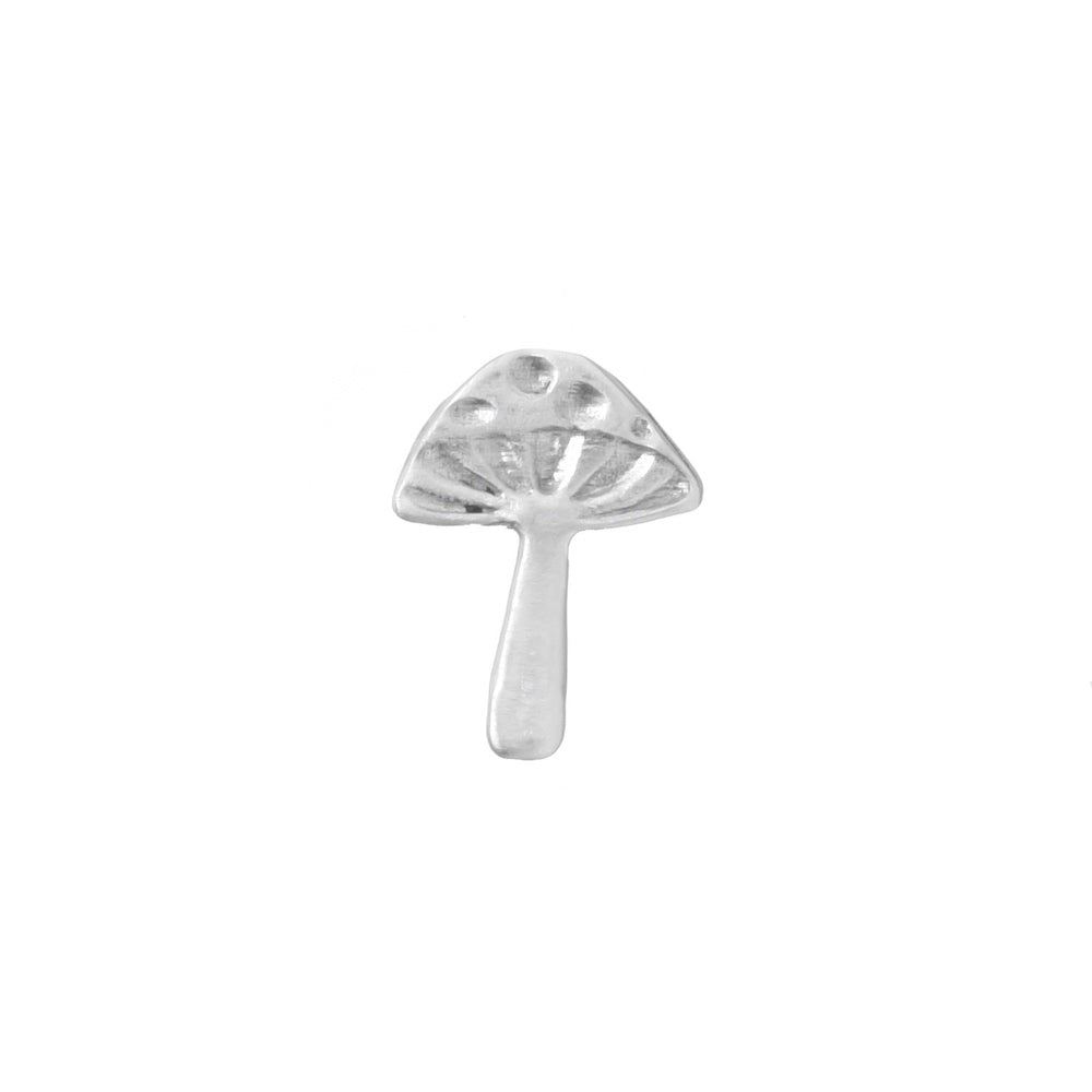amanita muscara silver mushroom